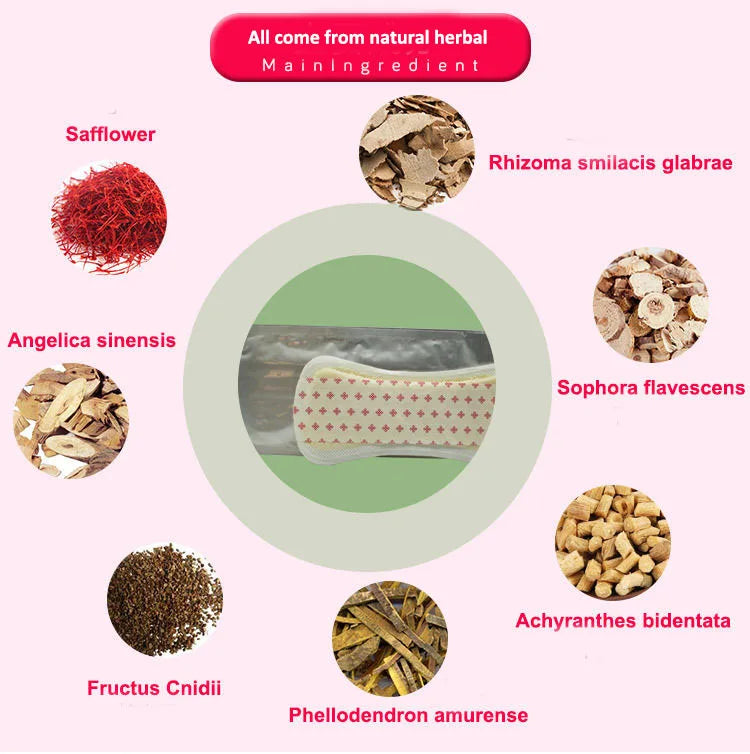 Natural Herbal Feminine Hygiene Fuleshu Tampons Pads For Women Health Pubic Care Gynecological Pad Strip