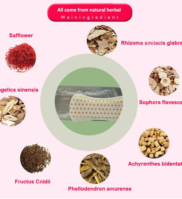 Natural Herbal Feminine Hygiene Fuleshu Tampons Pads For Women Health Pubic Care Gynecological Pad Strip