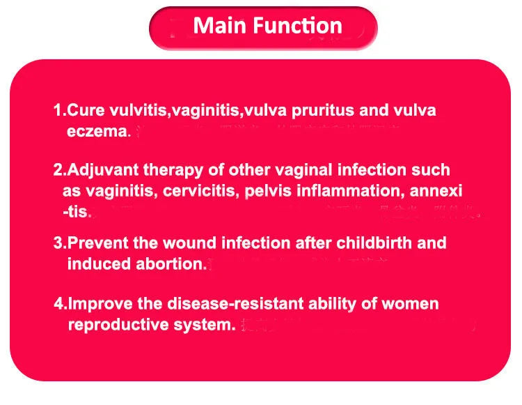 Natural Herbal Feminine Hygiene Fuleshu Tampons Pads For Women Health Pubic Care Gynecological Pad Strip