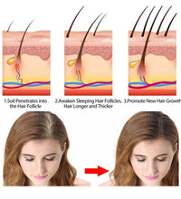 Rosemary Shampoo Soap Ginger/bamboo/lavender/Polygonum Multiflorum Deep Cleansing Soap Bar For Treated Dry Damaged Hair Care - BlissFully