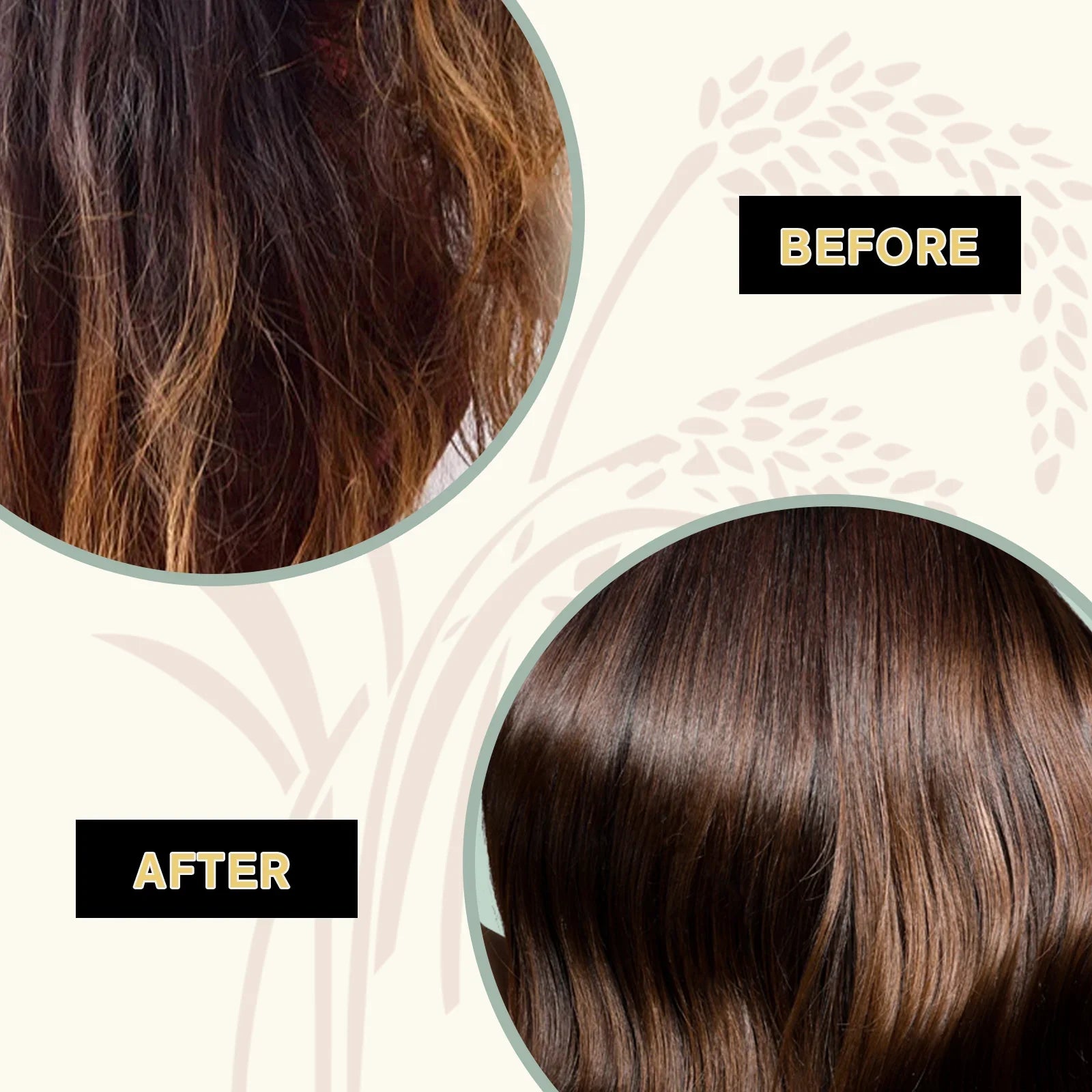 1-3PCS Rice Shampoo & Conditioner Bar Soild Soap for Hair Growth Strengthening Hair Clean Dandruff Nourish Moisturize Hair Care - BlissFully