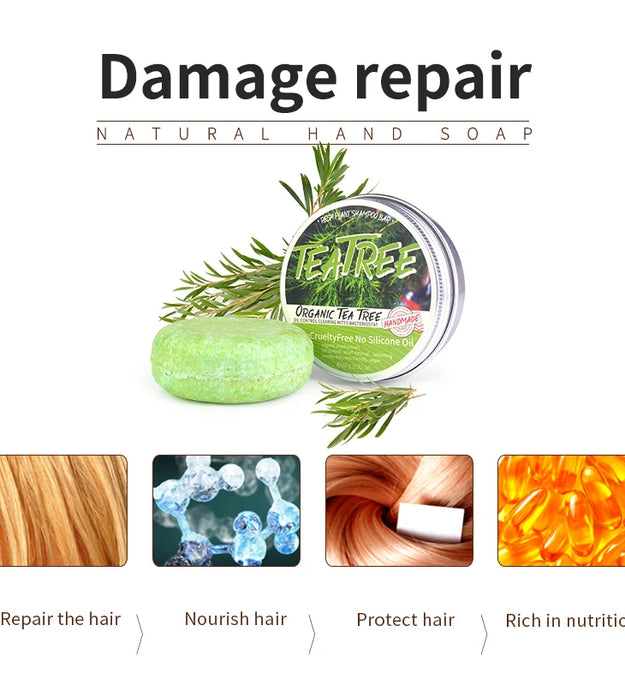 Tea tree essential oil plant shampoo is refreshing, oil controlling, dandruff reducing, and strong for hair. Handmade shampoo wi