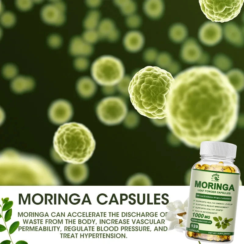 Greensure Moringa Oleifera 1000 mg Capsules Extra Potency 50:1 Extract Energizing Antioxidant, 60/120 Vegetarian Capsules