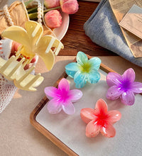 Five-petal flower Summer Super Fairy Vacation style frangeria Grab clip Shark Clip Acrylic flower hair grab hair accessories bac - BlissFully