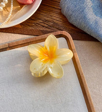 Five-petal flower Summer Super Fairy Vacation style frangeria Grab clip Shark Clip Acrylic flower hair grab hair accessories bac - BlissFully