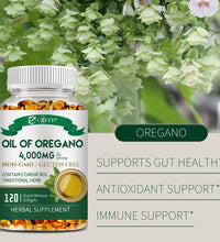 Oil of Oregano 4000mg - Relieves Bloating and Flatulence, Boosts Immunity - BlissFully