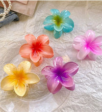 Five-petal flower Summer Super Fairy Vacation style frangeria Grab clip Shark Clip Acrylic flower hair grab hair accessories bac - BlissFully