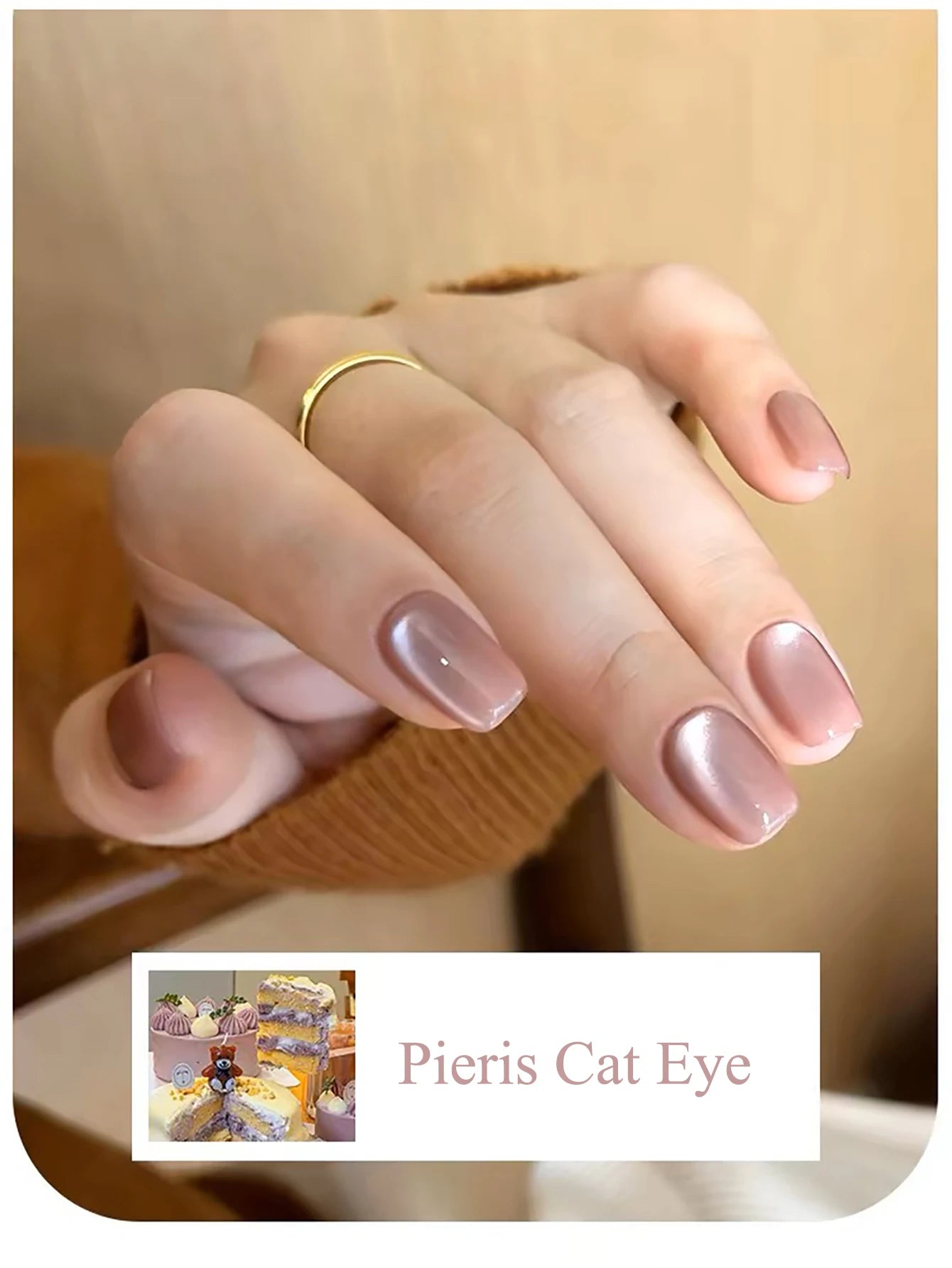 WS Black Glass Cat Magnetic Gel Nail Polish Punk Style Nail Art Manicure Varnis Semi Permanent Gel for Winter Nail Supplies