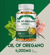 Oil of Oregano 4000mg - Relieves Bloating and Flatulence, Boosts Immunity - BlissFully
