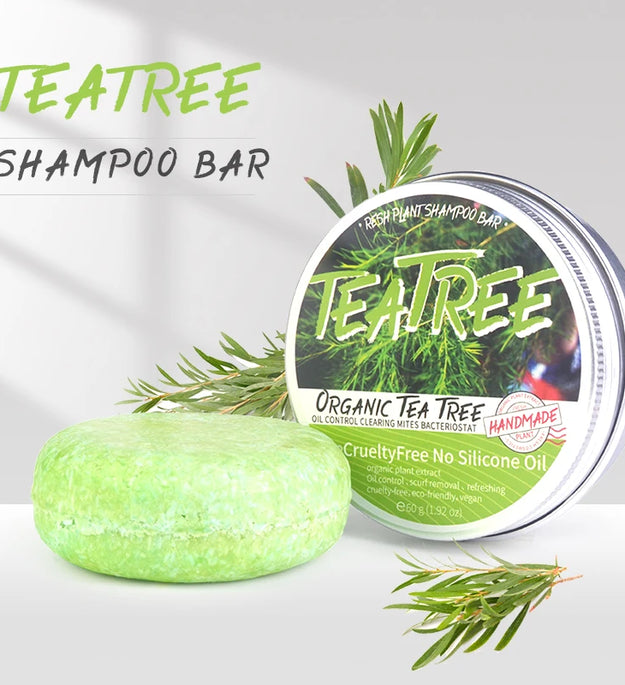 Tea tree essential oil plant shampoo is refreshing, oil controlling, dandruff reducing, and strong for hair. Handmade shampoo wi