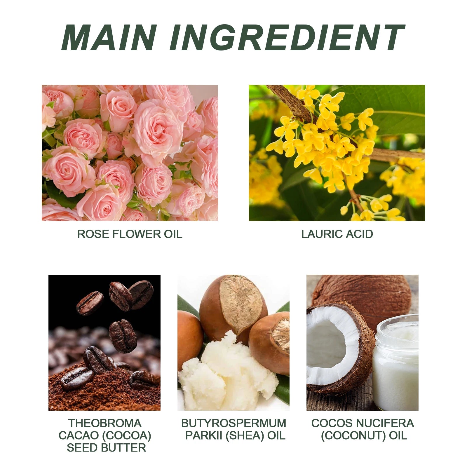 Natural Rose Scented Soap, Gentle Cleansing & Moisturizing Body Bar for Women, Skin Softening Bath Soap