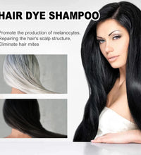 EELHOE 100ml Natural Plant Hair Dye Shampoo 3 in 1 Hair Color Shampoo for Gary Hair Quick Dark Black And Women Men Grey Coverage - BlissFully