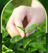 SADOER Tea Tree Acne Removing Cream Facial skincare Oil Control Face Gel Creams Hydrating Moisturizing Facial Cream Skin Care - BlissFully