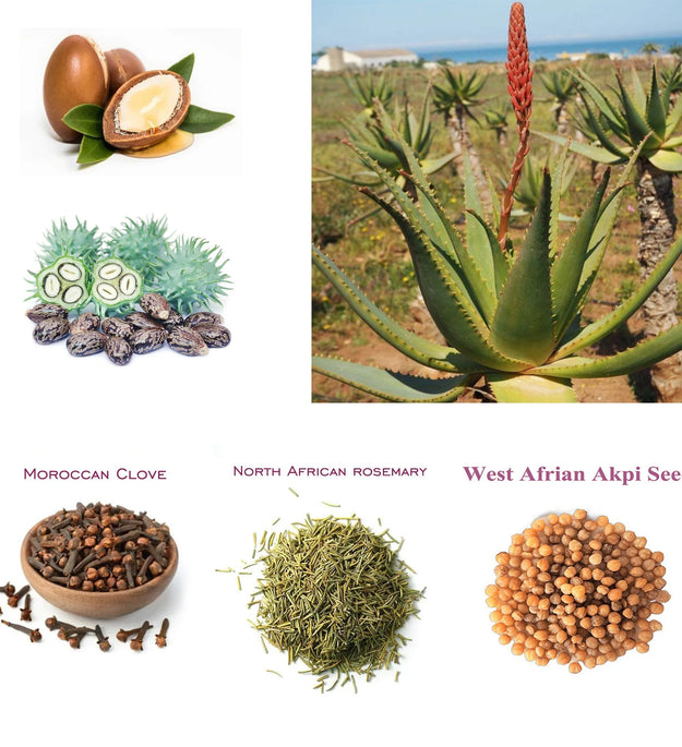 One Touch to Gorgeous 110 ml African Rosemary＆ Cloves Hot Oil  Accelerate the Scalp to Deliver More Nutrients to Hair Follicles