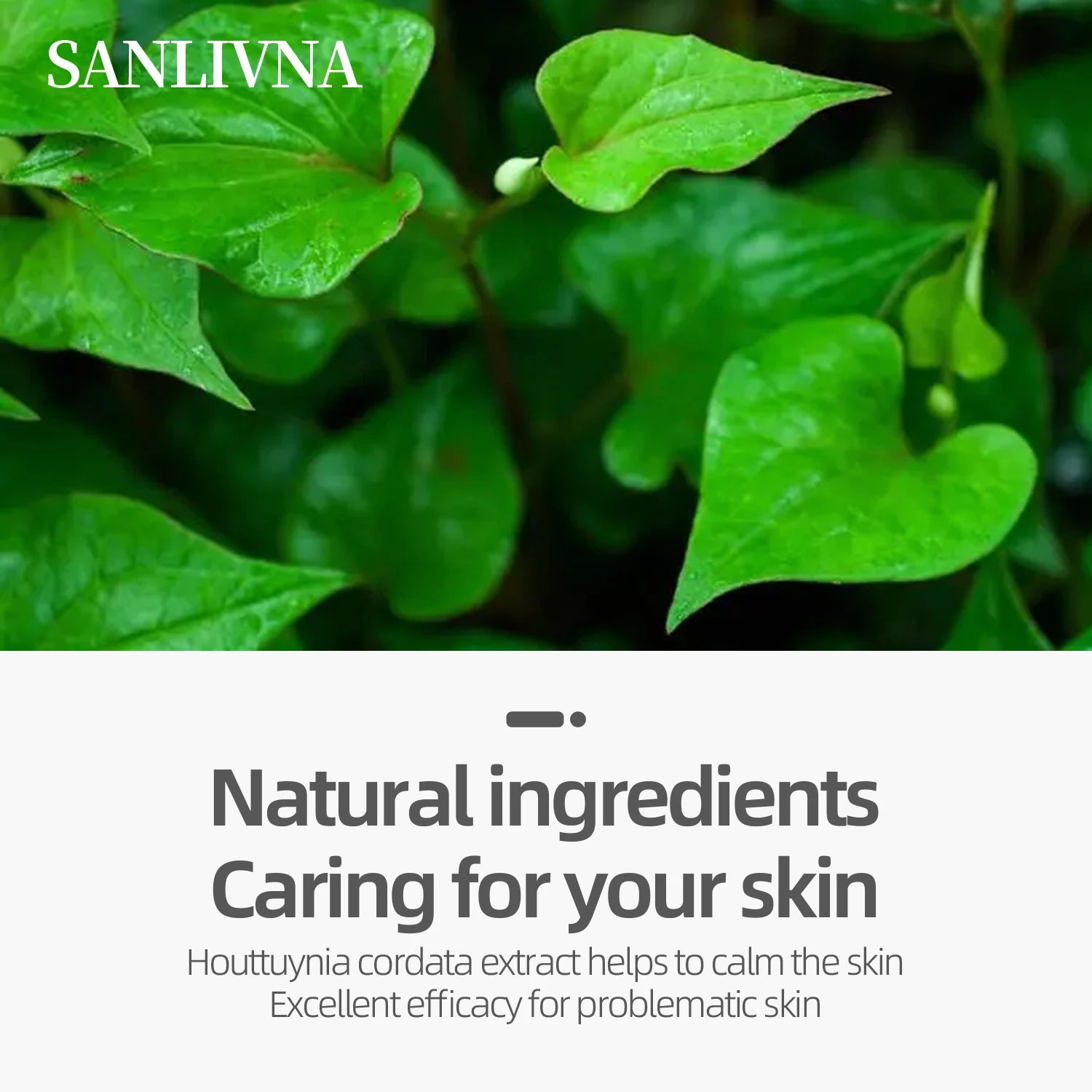 Heartleaf 77 Toning Cotton Moisturizing Pore Care Centella Asiatica Extract Moisturizing Skin Care Cotton Moisturizing Face